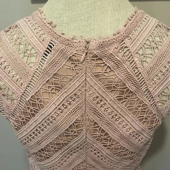Anthropologie Greylin - Emilia Lace Mini Dress - Chalk Rose - Size Small - Picture 8 of 14
